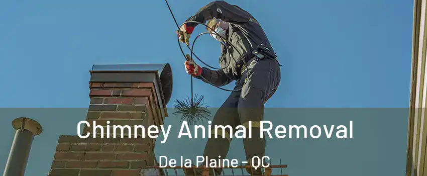 Chimney Animal Removal De la Plaine - QC