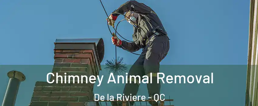 Chimney Animal Removal De la Riviere - QC