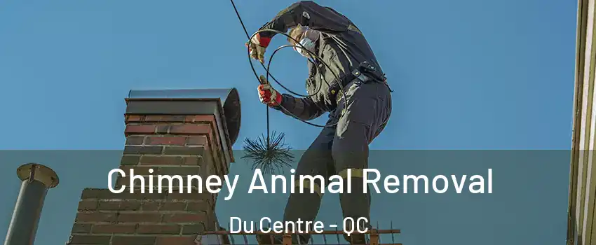 Chimney Animal Removal Du Centre - QC