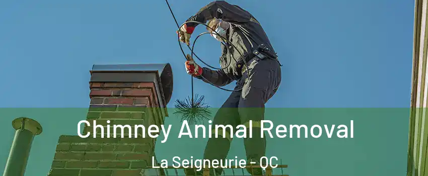 Chimney Animal Removal La Seigneurie - QC
