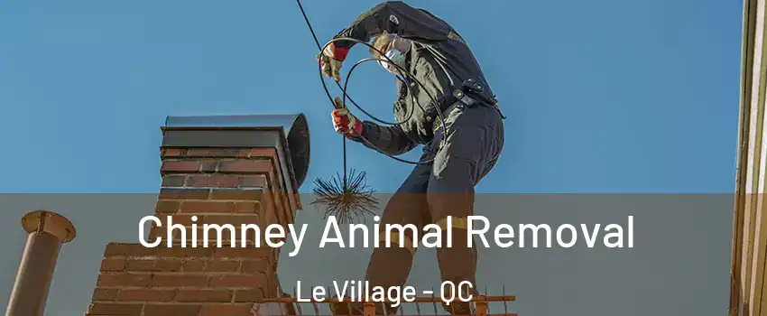 Chimney Animal Removal Le Village - QC