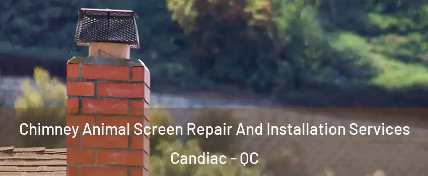  Chimney Animal Screen Repair And Installation Services Candiac - QC