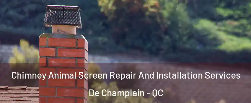  Chimney Animal Screen Repair And Installation Services De Champlain - QC