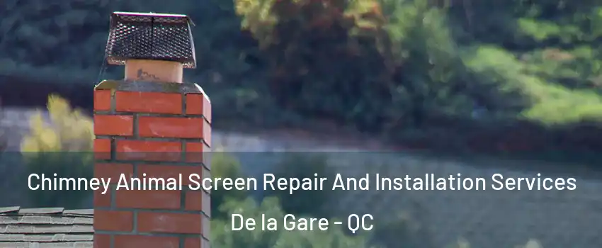  Chimney Animal Screen Repair And Installation Services De la Gare - QC