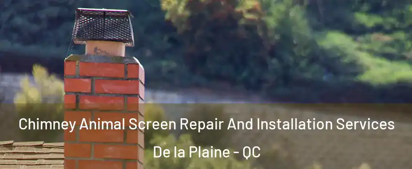  Chimney Animal Screen Repair And Installation Services De la Plaine - QC