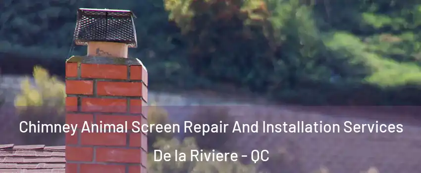  Chimney Animal Screen Repair And Installation Services De la Riviere - QC