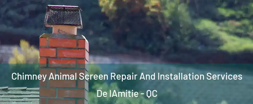  Chimney Animal Screen Repair And Installation Services De lAmitie - QC