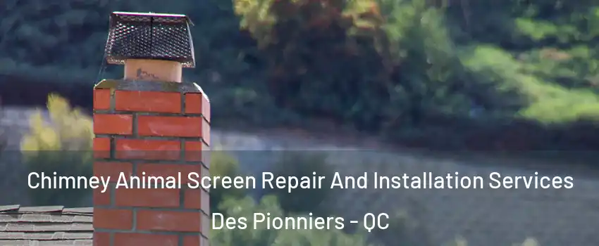  Chimney Animal Screen Repair And Installation Services Des Pionniers - QC