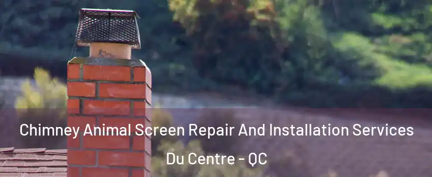  Chimney Animal Screen Repair And Installation Services Du Centre - QC