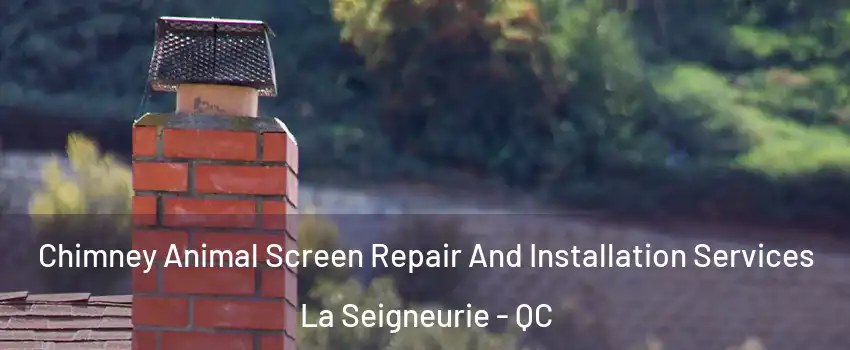  Chimney Animal Screen Repair And Installation Services La Seigneurie - QC