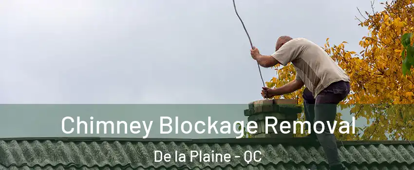  Chimney Blockage Removal De la Plaine - QC