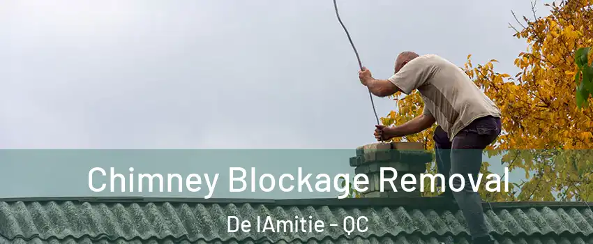  Chimney Blockage Removal De lAmitie - QC