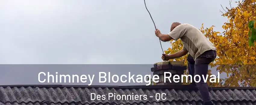  Chimney Blockage Removal Des Pionniers - QC