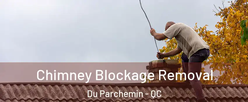  Chimney Blockage Removal Du Parchemin - QC