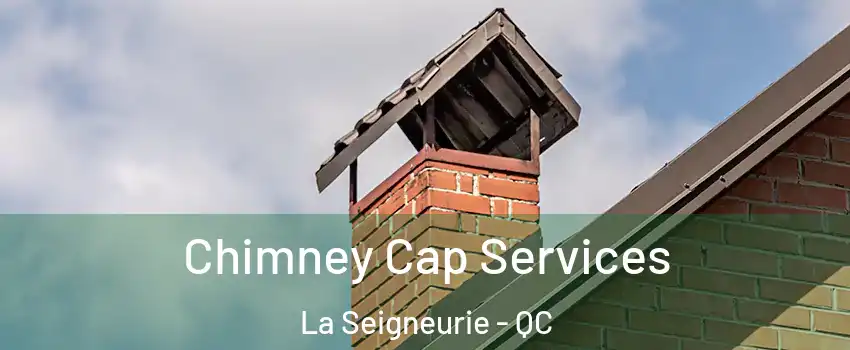  Chimney Cap Services La Seigneurie - QC