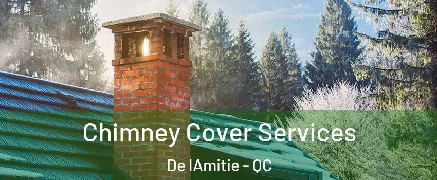  Chimney Cover Services De lAmitie - QC