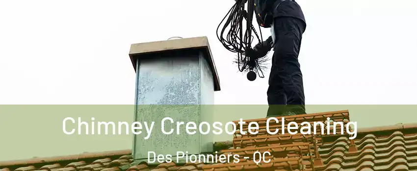 Chimney Creosote Cleaning Des Pionniers - QC