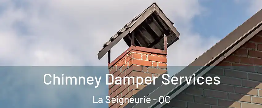  Chimney Damper Services La Seigneurie - QC
