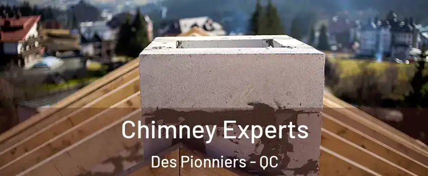 Chimney Experts Des Pionniers - QC