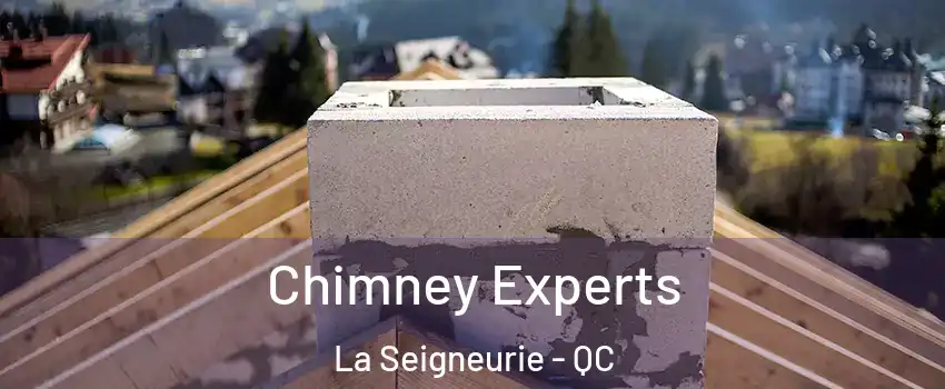 Chimney Experts La Seigneurie - QC