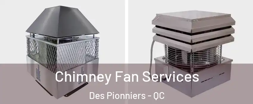  Chimney Fan Services Des Pionniers - QC