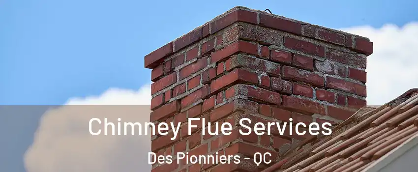  Chimney Flue Services Des Pionniers - QC
