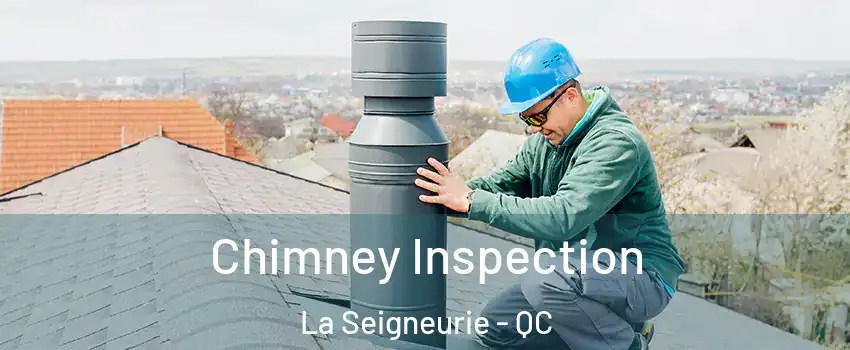  Chimney Inspection La Seigneurie - QC