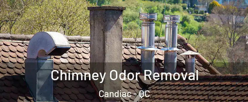  Chimney Odor Removal Candiac - QC