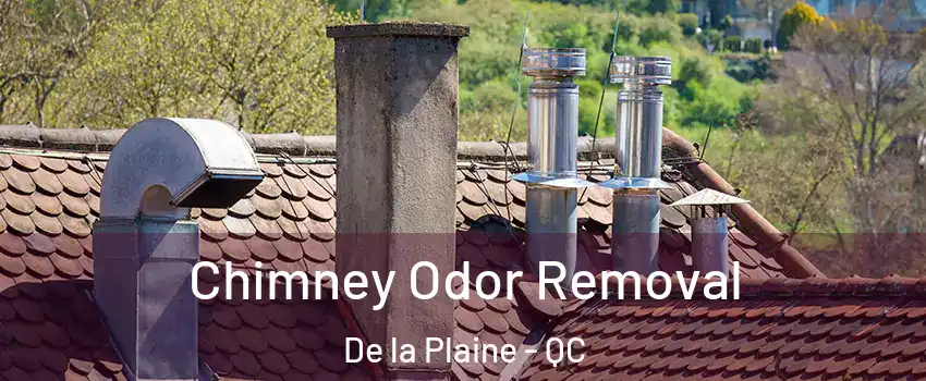  Chimney Odor Removal De la Plaine - QC