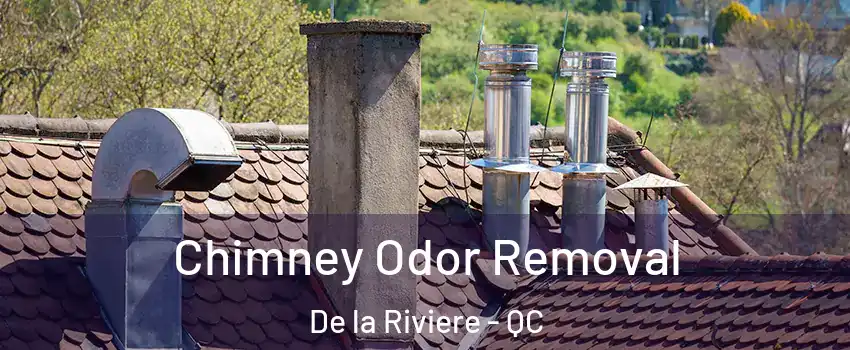  Chimney Odor Removal De la Riviere - QC