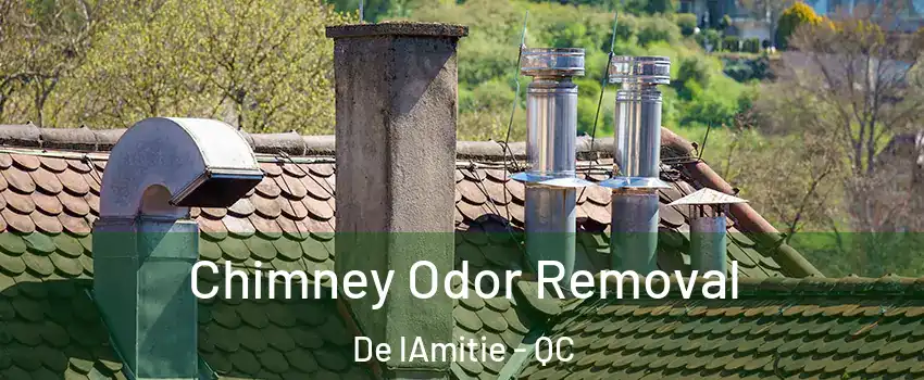  Chimney Odor Removal De lAmitie - QC