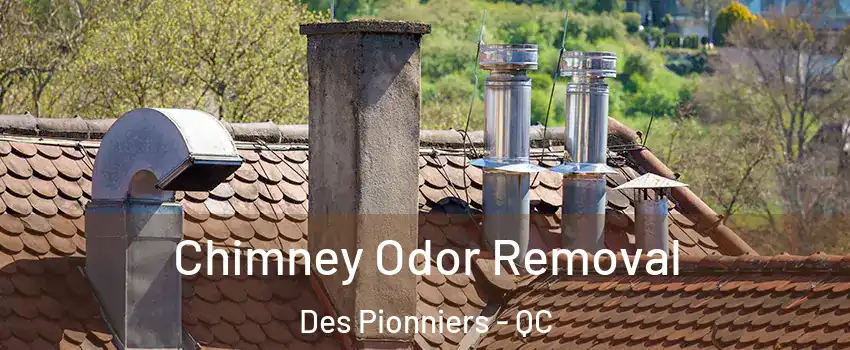  Chimney Odor Removal Des Pionniers - QC