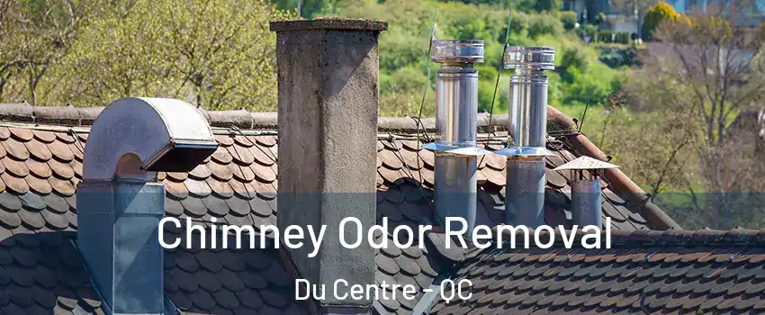  Chimney Odor Removal Du Centre - QC