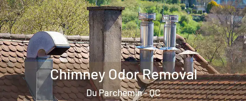  Chimney Odor Removal Du Parchemin - QC