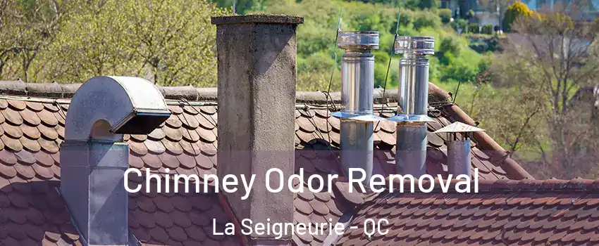  Chimney Odor Removal La Seigneurie - QC