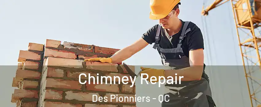  Chimney Repair Des Pionniers - QC