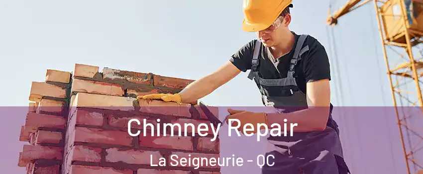  Chimney Repair La Seigneurie - QC