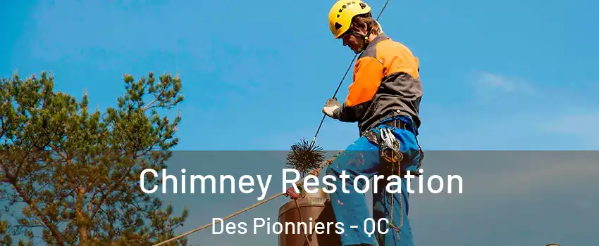  Chimney Restoration Des Pionniers - QC