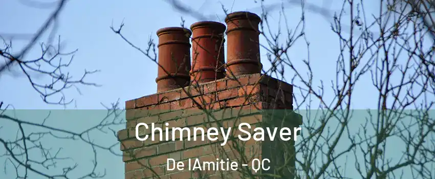  Chimney Saver De lAmitie - QC