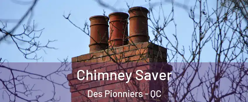  Chimney Saver Des Pionniers - QC