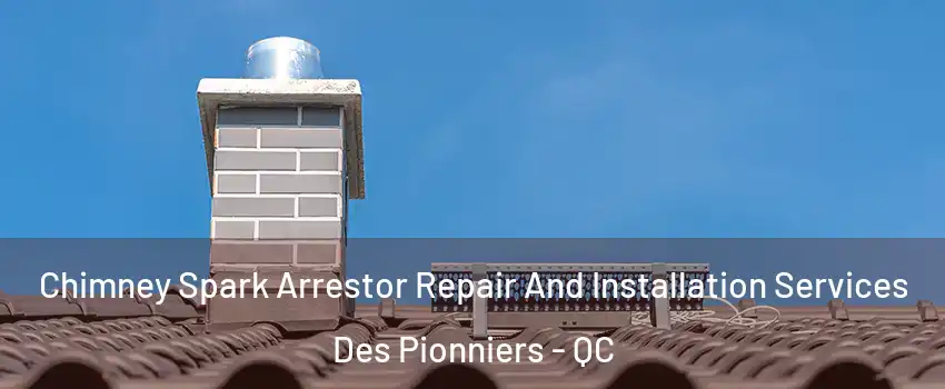  Chimney Spark Arrestor Repair And Installation Services Des Pionniers - QC