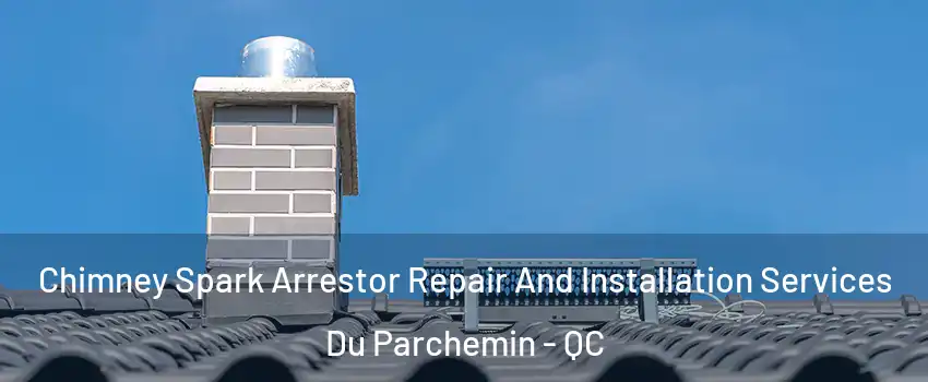  Chimney Spark Arrestor Repair And Installation Services Du Parchemin - QC