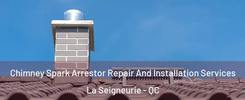  Chimney Spark Arrestor Repair And Installation Services La Seigneurie - QC