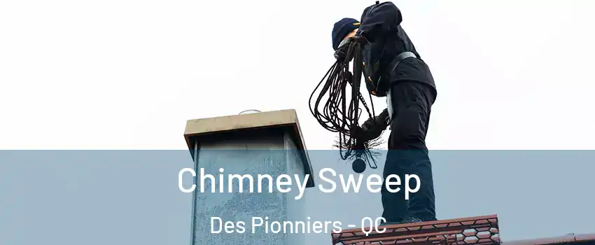  Chimney Sweep Des Pionniers - QC