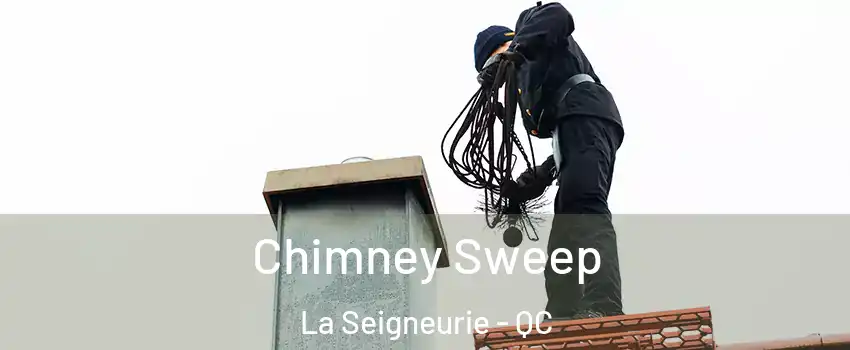  Chimney Sweep La Seigneurie - QC