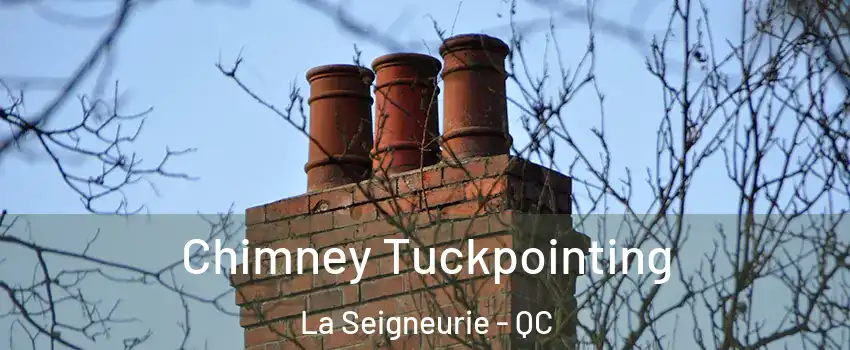  Chimney Tuckpointing La Seigneurie - QC