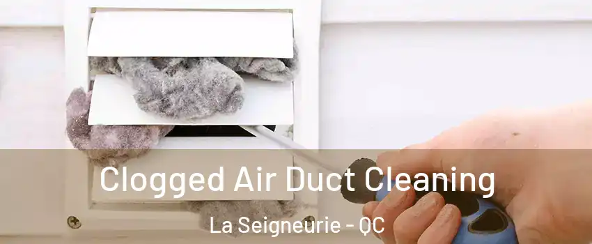  Clogged Air Duct Cleaning La Seigneurie - QC