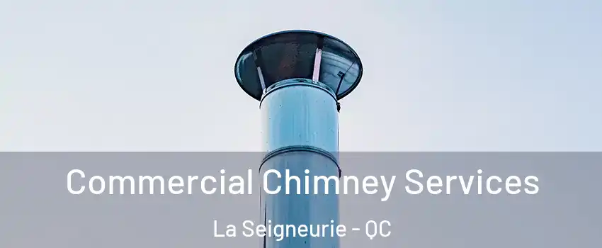  Commercial Chimney Services La Seigneurie - QC