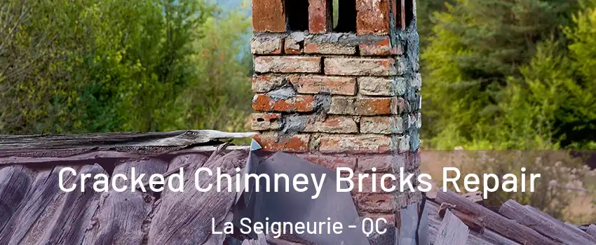  Cracked Chimney Bricks Repair La Seigneurie - QC
