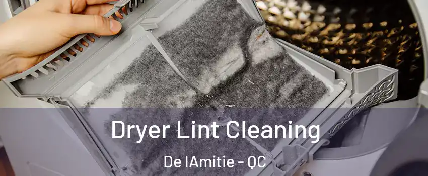  Dryer Lint Cleaning De lAmitie - QC